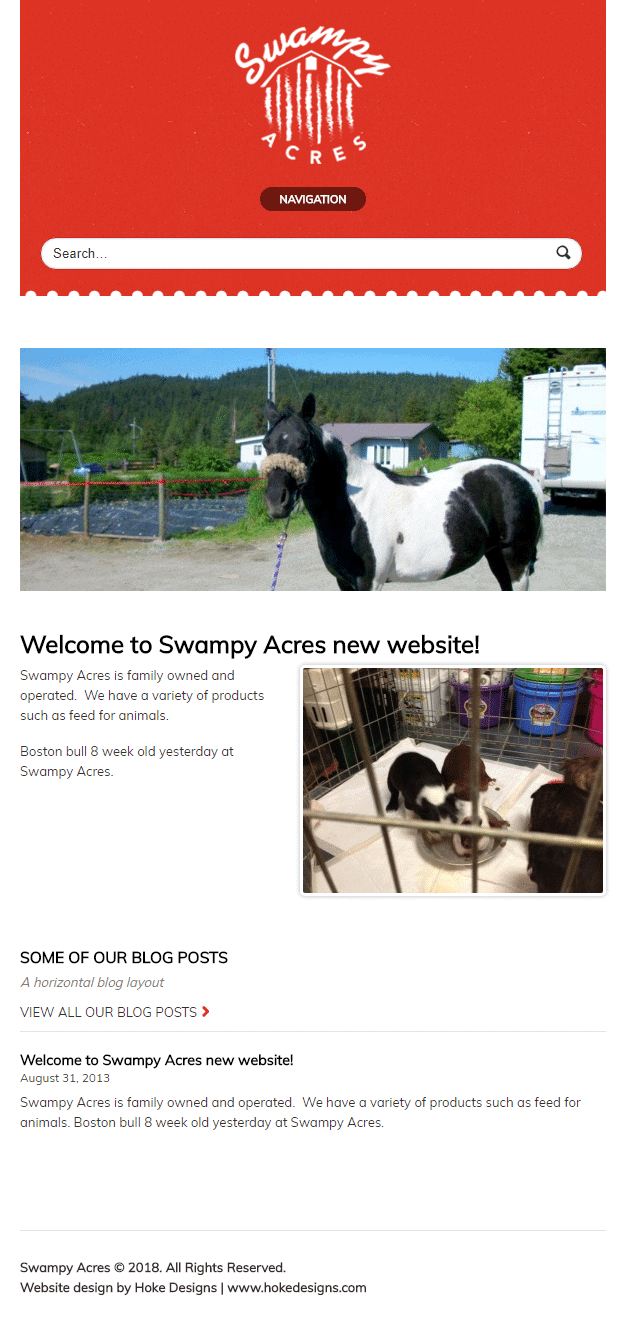 Black and white horse in a scenic farm setting.