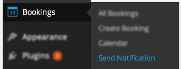 User dashboard interface with booking options and calendar management.